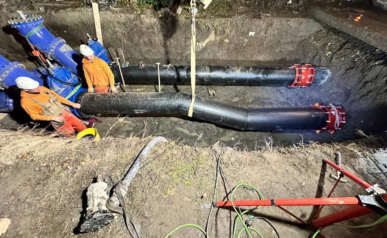 WhatsApp Image 2025-10-31 at 17.44.28