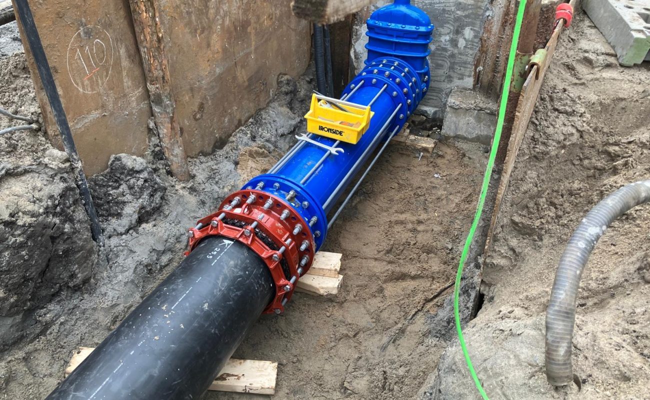 WhatsApp Image 2026-01-30 at 15.04.09_4