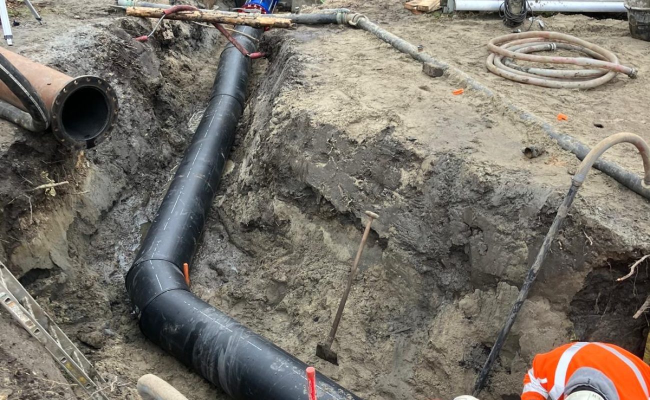 WhatsApp Image 2026-01-30 at 15.04.09_5