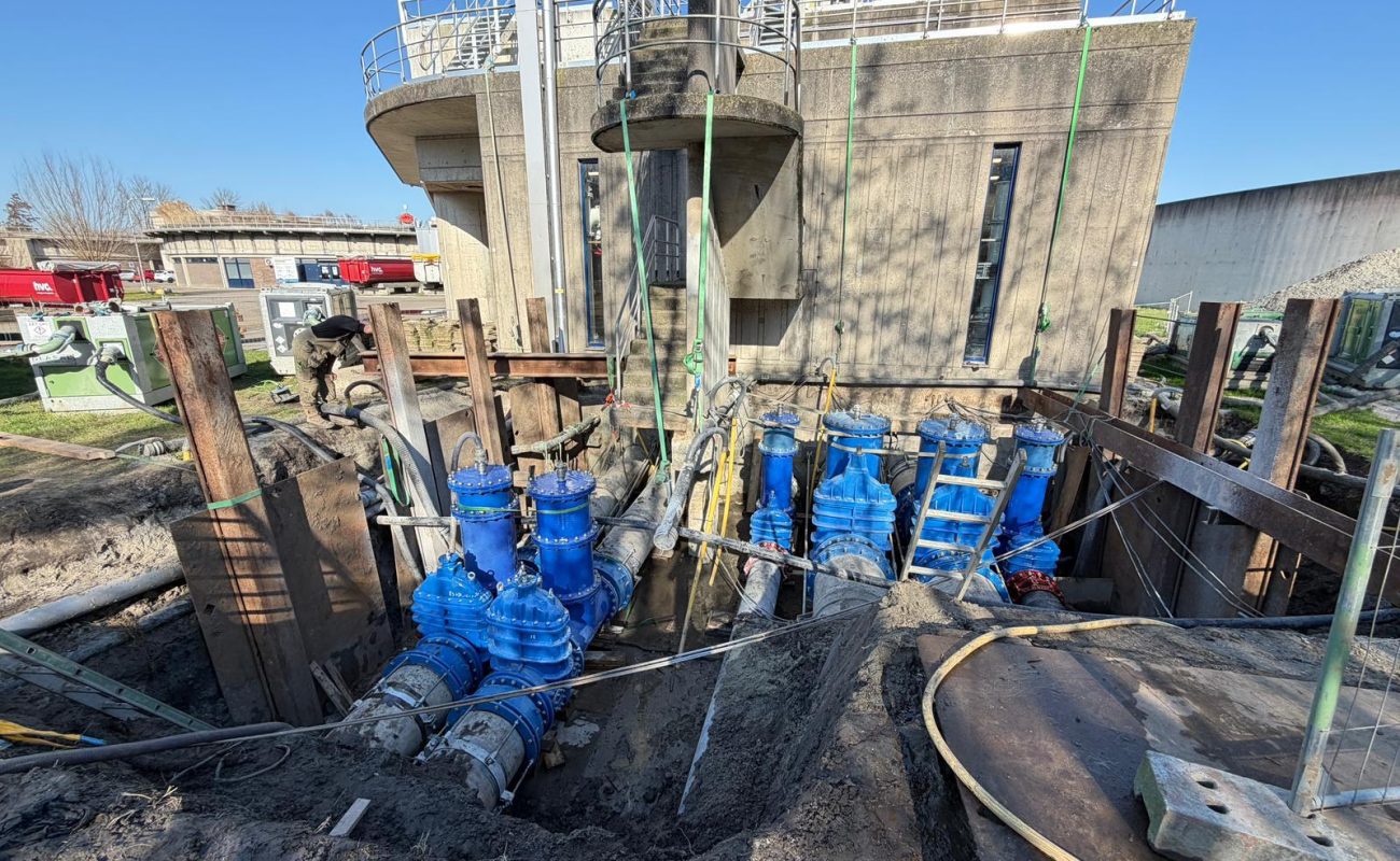 WhatsApp Image 2026-03-13 at 17.20.26