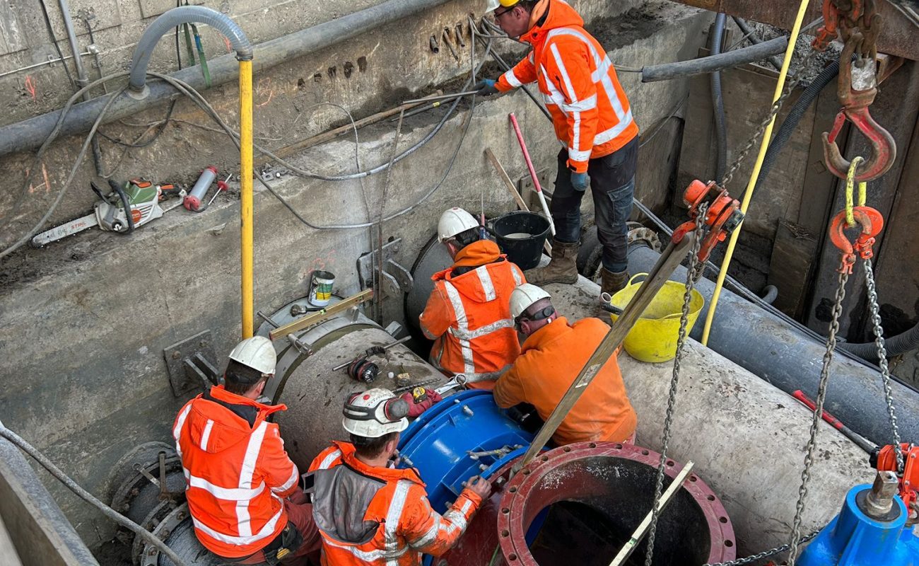 WhatsApp Image 2026-03-13 at 17.21.08